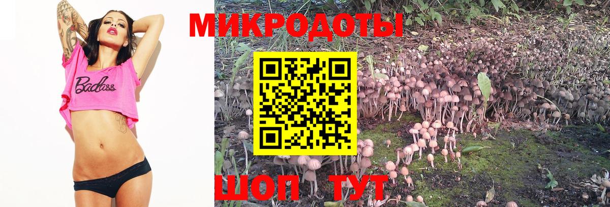 Пушкино  Псилоцибиновые грибы Cubensis  Вход с VPN 