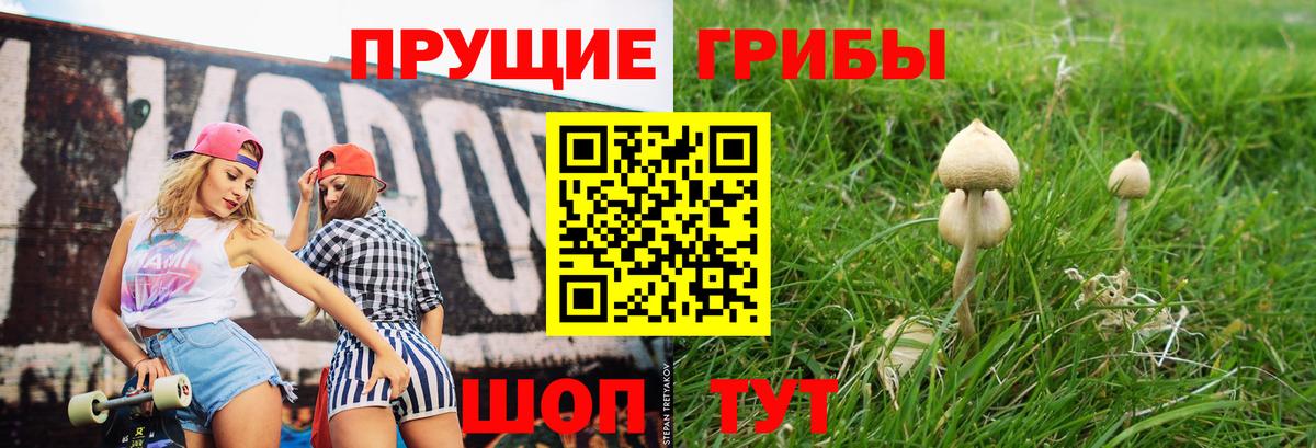 Псилоцибиновые грибы Psilocybine cubensis Пушкино